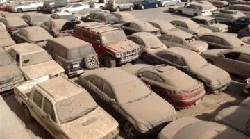 مزادات جمارك 2026.. شروط الحصول على سيارة أحلامك بأسعار تنافسية هذا العام